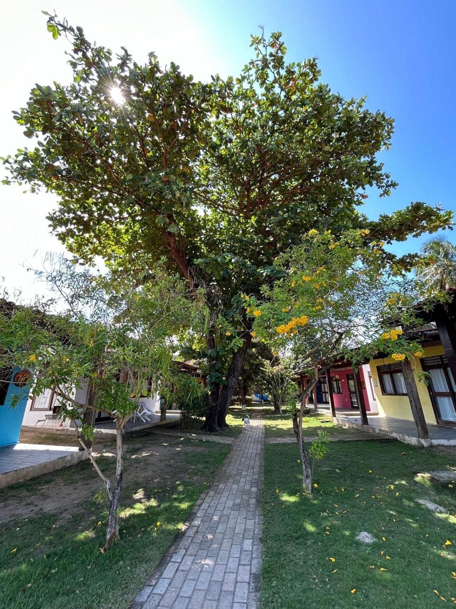 Chales Praias Brasileiras Maragogi Zewnętrze zdjęcie
